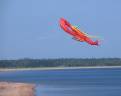 Bill Wilson's kite